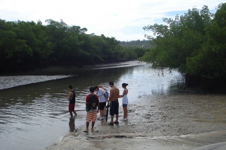 Minicurso: Manguezal